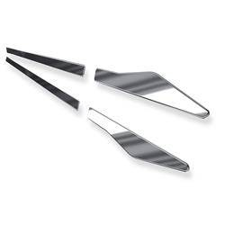 Protectores laterales para Renault Latitude Berlina (4 puertas) - (2011-2015) - Croni - V - plateado (brillo)